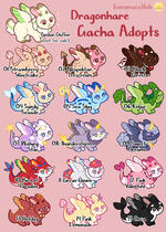 Drahonhare Adopts (original species)